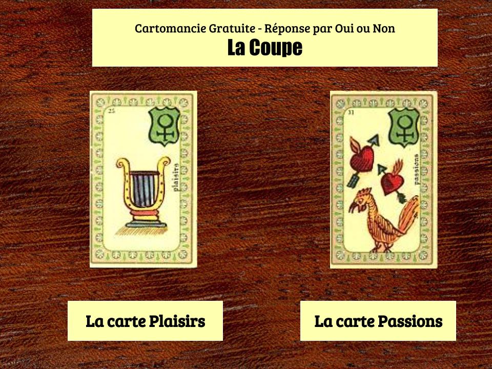 L'exemple de coupe pour une reponse par oui ou par non. La carte des passions et celle des plaisirs