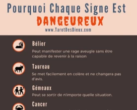 Pourquoi Chaque Signe est Dangeureux - Infographic