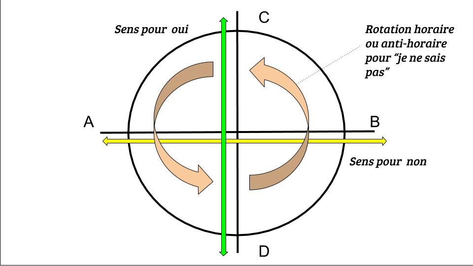 Pour consulter l'oracle oui non avec un pendule, il doit tourner ou osciller dans les sens prévus